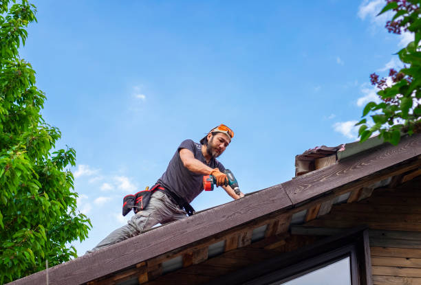 Best Roof Installation  in Calico Rock, AR