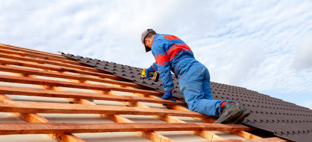 Best Roof Coating and Sealing  in Calico Rock, AR