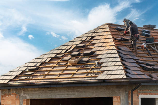 Best Roof Maintenance and Cleaning  in Calico Rock, AR