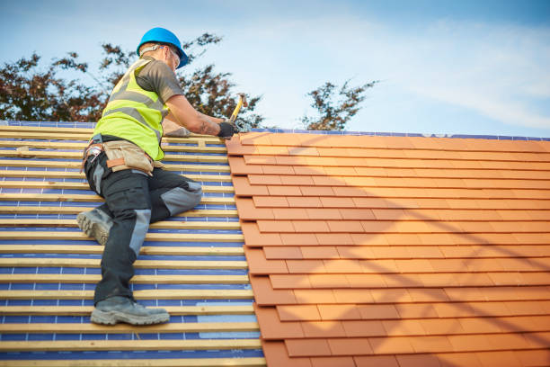 Best Storm Damage Roof Repair  in Calico Rock, AR