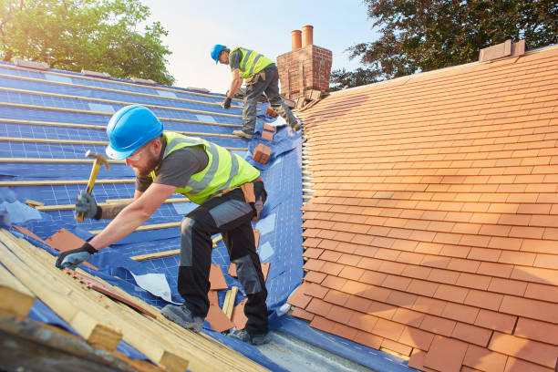 Best Roof Insulation Installation  in Calico Rock, AR